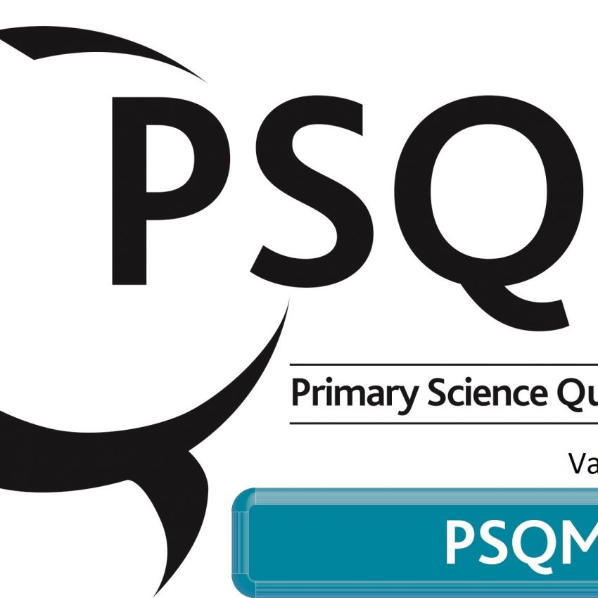PSQ Mark